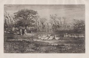 Gęsi, 1860-98. autorstwa Felix Hilaire Buhot