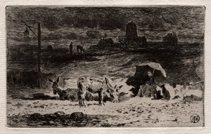 Osły na Wzgórzu Cailles, ok. 1930 r. 1875. autorstwa Felix Hilaire Buhot