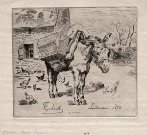 Muł, Marie-Jeanne autorstwa Felix Hilaire Buhot