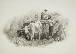 Scena sianokosów autorstwa Felix Octavius Carr Darley