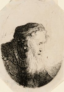 Stary mężczyzna z falującą brodą autorstwa Ferdinand Bol