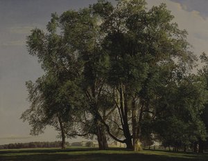 Krajobraz Prater autorstwa Ferdinand Georg Waldmüller