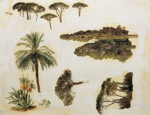 Studia drzew z Rzymu autorstwa Ferdinand Georg Waldmuller