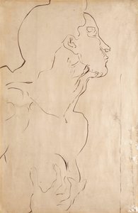 Studium do „Uczucie I”, 1901 autorstwa Ferdinand Hodler