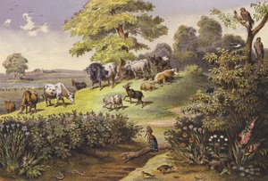 Lipiec (druk kolorowy)