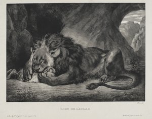 Lew z Atlasu, 1829 autorstwa Ferdinand Victor Eugene Delacroix