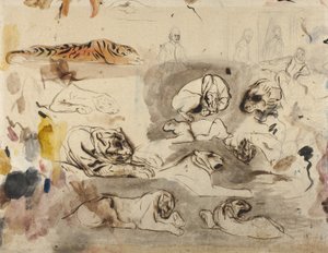 Szkice tygrysów i ludzi w strojach z XVI wieku, 1828-29 autorstwa Ferdinand Victor Eugene Delacroix