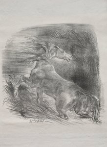 Dziki koń lub przestraszony koń wychodzący z wody, 1828. autorstwa Ferdinand Victor Eugene Delacroix