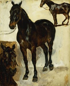 Trzy Studia Koni; Trzy badania koni, c.1823 autorstwa Ferdinand Victor Eugene Delacroix