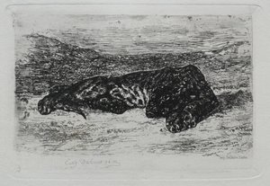 Tygrys leżący na pustyni. autorstwa Ferdinand Victor Eugene Delacroix