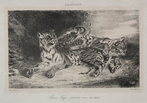 Młody tygrys bawiący się z matką, 1831. autorstwa Ferdinand Victor Eugene Delacroix