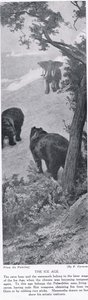 Epoka lodowcowa, ilustracja z „Historii narodów Hutchinsona”, ok. 1910 r.