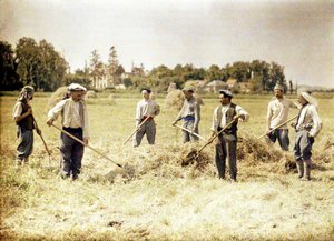 Ośmiu członków 143 Dywizji Piechoty Armii Francuskiej robi siano, Soissons, Aisne, Francja, 1917 (autochrome) autorstwa Fernand Cuville