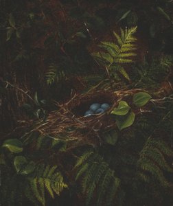 Ptasie gniazdo i paprocie, 1863.