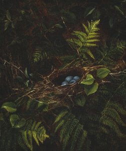 Ptasie gniazdo i paprocie, 1863