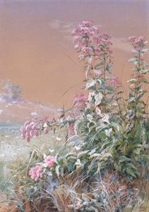 Bez tytułu, 1876.