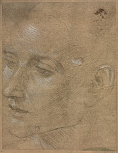 Głowa młodego człowieka, druga połowa 1400 roku. autorstwa Filippino Lippi