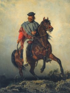 Garibaldi na koniu