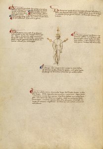 Punkty celowania na ciele autorstwa Fiore Furlan dei Liberi da Premariacco