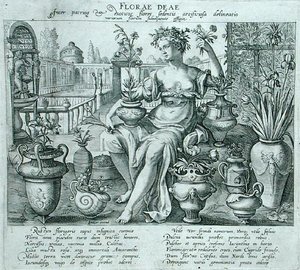 Flora (grawerowanie) autorstwa Flemish School
