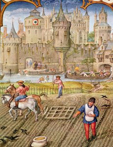 Fol.10v Miesiąc październik: Zasiew, z Breviarium Grimani, ok.1515 autorstwa Flemish School