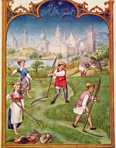 Fol 6v Miesiąc czerwiec: Sianokosy, z Breviarium Grimani, ok. 1515 autorstwa Flemish School