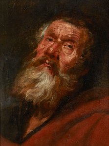 Szkic głowy apostoła (olej na papierze ułożonym na płótnie, ułożonym na desce dębowej) autorstwa Flemish School