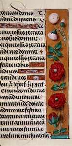Ms. 1058-1975, f.120r: fragment bordiury kwiatowej z Godzinki, ok. 1500 (welin) autorstwa Flemish School