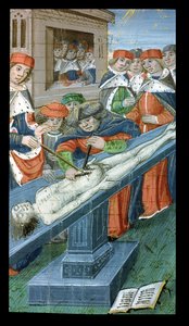 Pani Hunter 9 10r Sekcje, z De Medina Fen I. II, przez Avicenna (980-1037) autorstwa Flemish School