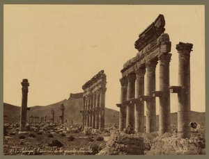 Fragment Wielkiej Kolumnady, w oddali zamek Qala’at Ibn Maan, Palmyra, ok. 1875 (druk albumowy) autorstwa Félix Bonfils