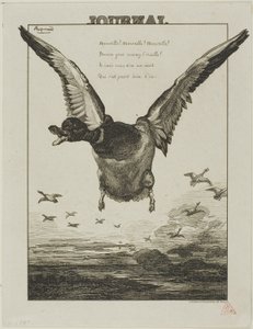 Kaczka autorstwa Félix Henri Bracquemond