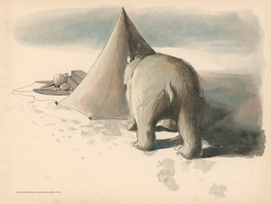 Ilustracja do Golliwoggs Polar Adventures autorstwa Florence K. Upton