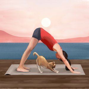 Joga o wschodzie słońca – pozycja kota