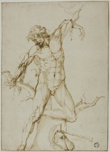Marsyas przywiązany do drzewa autorstwa Follower of Baccio Bandinelli