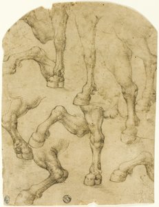 Szkice nóg koni (lub dromaderów) (recto); kolumny (verso) autorstwa Follower of Leonardo da Vinci