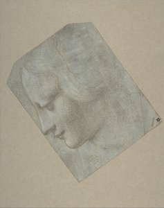 Głowa kobiety w profilu zwróconym w lewo, 1490-1500. autorstwa Follower of Leonardo da Vinci.
