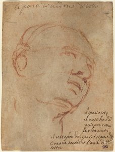 Głowa mężczyzny autorstwa Follower of Michelangelo