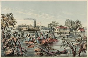 High Water w Missisipi, wyd. 1868