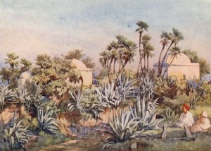 Koubba z Sidi Noumann, Bouzareah (kolorowa litografia)