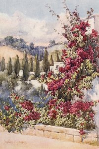Na moim balkonie, Algier (kolorowa litografia) autorstwa Frances Nesbitt