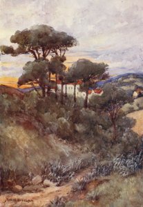 Stone Pines, Algier (kolorowa litografia) autorstwa Frances Nesbitt