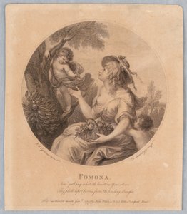 Pomona autorstwa Francesco Bartolozzi