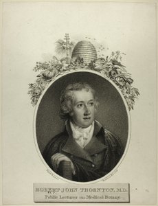 RJ Thornton autorstwa Francesco Bartolozzi