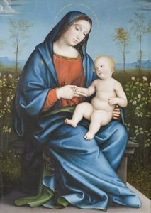 Madonna z Dzieciątkiem w ogrodzie różanym, Raibolini Francesco zwany Francesco Francia (olej na panelu)