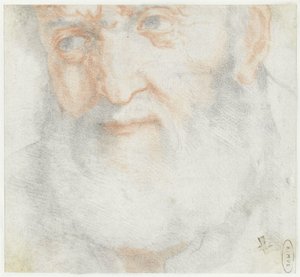 Głowa starca z brodą autorstwa Francesco Furini (attributed to)