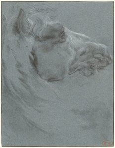 Głowa konia autorstwa Francesco Giuseppe Casanova