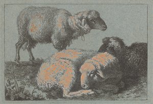 Dwie leżące owce i jedna stojąca owca, 17571758. autorstwa Francesco Londonio