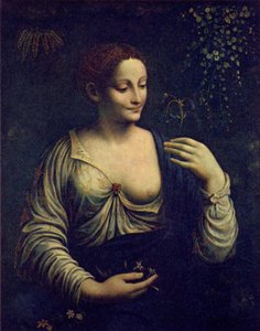 Flora