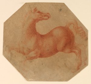 Studium konia hodowlanego według Leonarda da Vinci