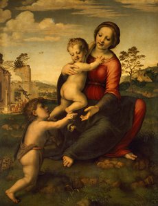 Matka Boża ze studni, ok. 1517 r., autor: Franciabigio (1482-1525), tempera na drewnie